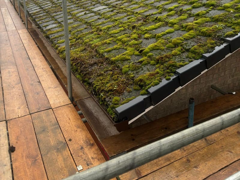 A worn, moss-covered roof